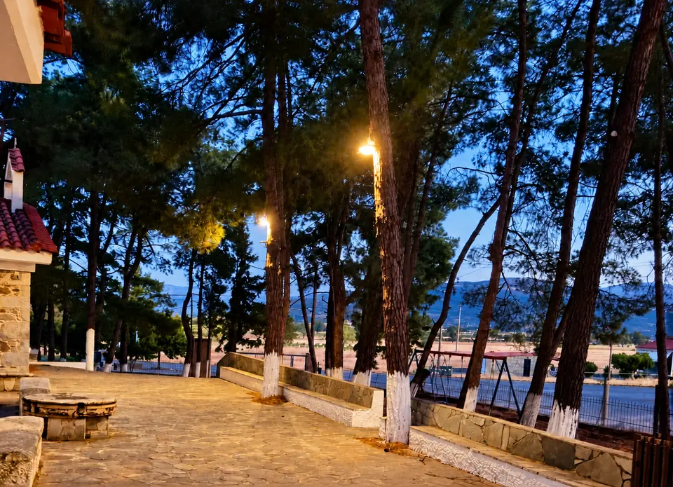 Φωτισμένη πέτρινη διαδρομή σε αυλή με πεύκα